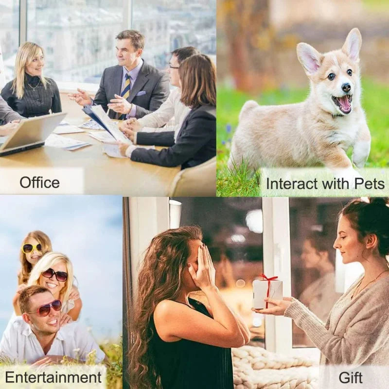 Dog Buttons for Communication and Training