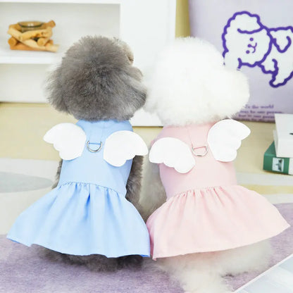 Accessories Spring Summer Cat Harness Collars